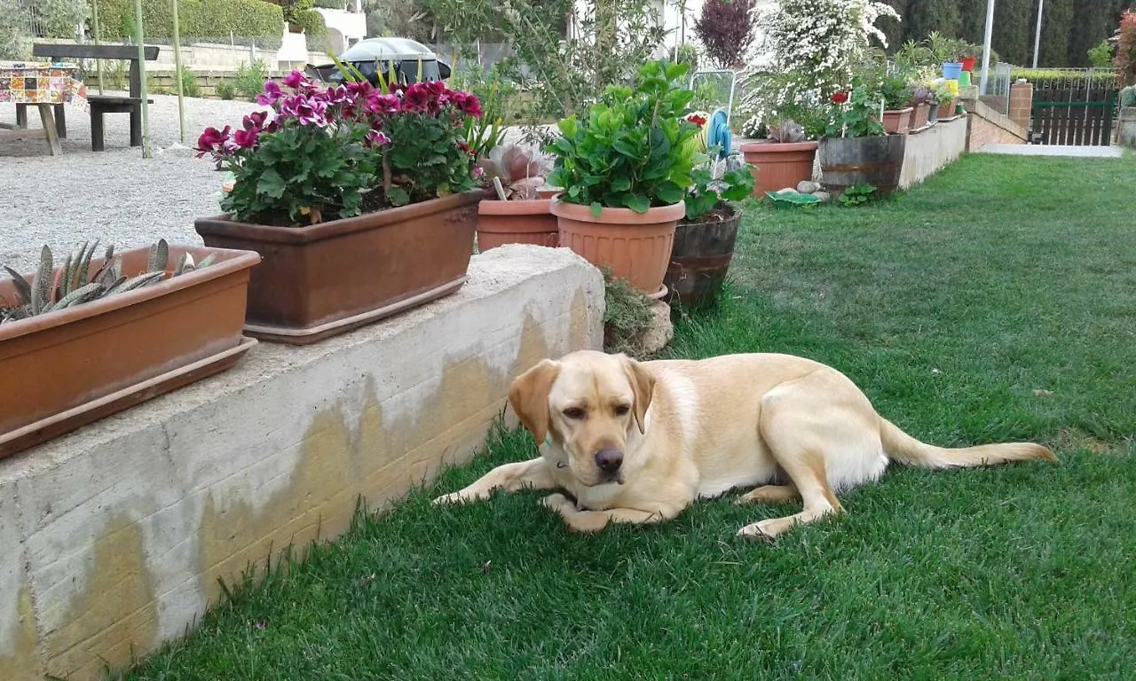 فندق مبيت وإفطار مارسياينا La Villa